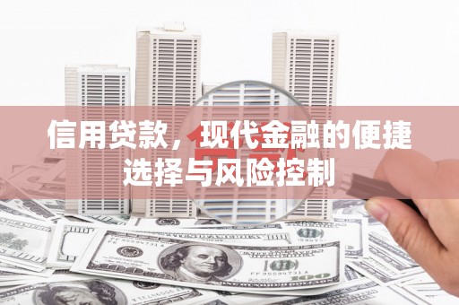 平南信用贷款，现代金融的便捷选择与风险控制