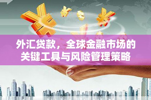 平南外汇贷款，全球金融市场的关键工具与风险管理策略