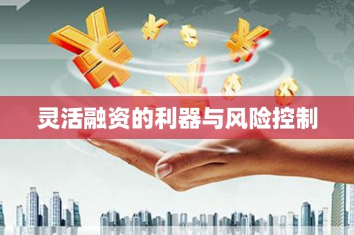 平南灵活融资的利器与风险控制