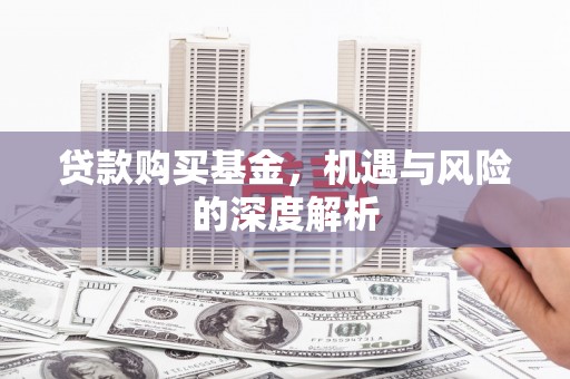 平南贷款购买基金，机遇与风险的深度解析