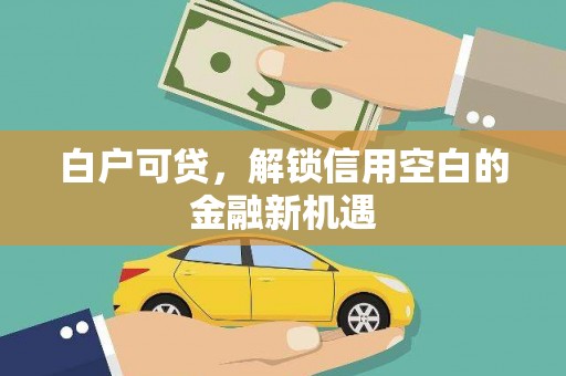 平南白户可贷，解锁信用空白的金融新机遇