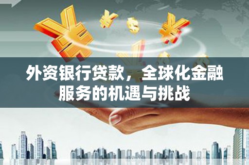 平南外资银行贷款，全球化金融服务的机遇与挑战
