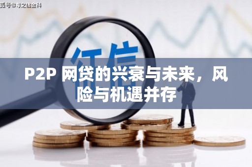 平南P2P 网贷的兴衰与未来，风险与机遇并存