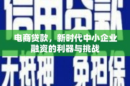 平南电商贷款，新时代中小企业融资的利器与挑战