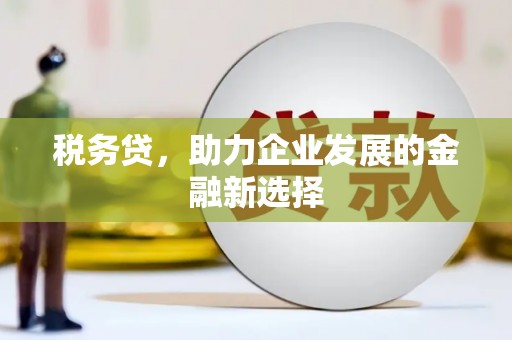 平南税务贷，助力企业发展的金融新选择