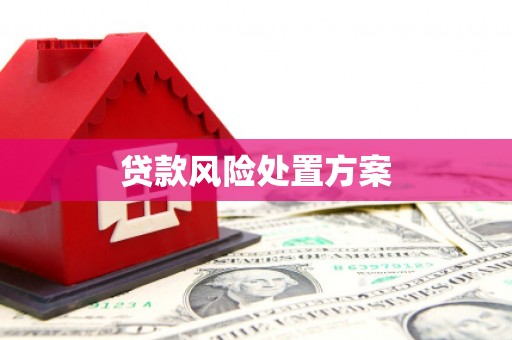 平南贷款风险处置方案