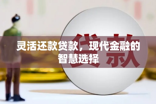 平南灵活还款贷款，现代金融的智慧选择