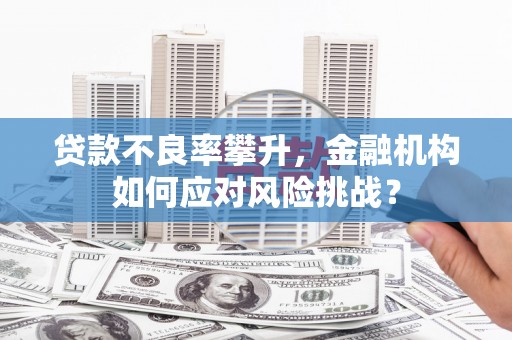 平南贷款不良率攀升，金融机构如何应对风险挑战？
