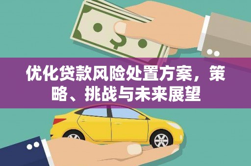 平南优化贷款风险处置方案，策略、挑战与未来展望