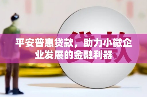 平南平安普惠贷款，助力小微企业发展的金融利器