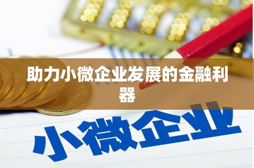 平南助力小微企业发展的金融利器