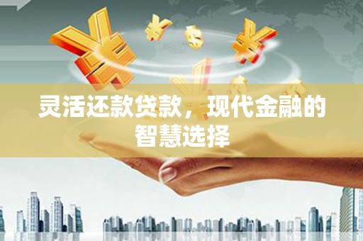 平南灵活还款贷款，现代金融的智慧选择