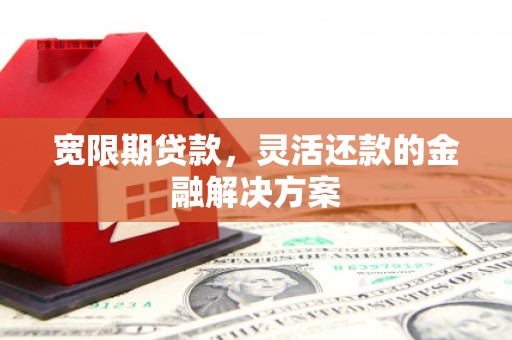平南宽限期贷款，灵活还款的金融解决方案