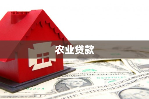平南农业贷款