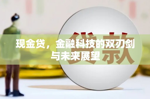 平南现金贷，金融科技的双刃剑与未来展望