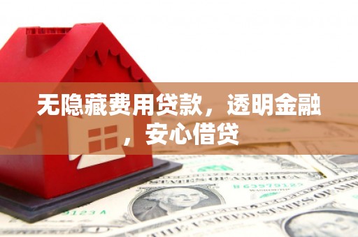 平南无隐藏费用贷款，透明金融，安心借贷