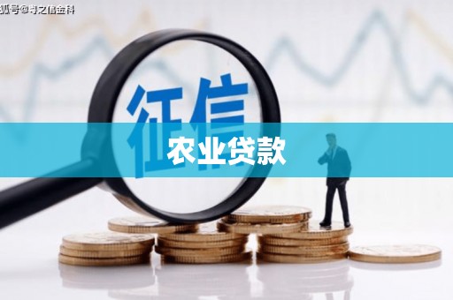 平南农业贷款