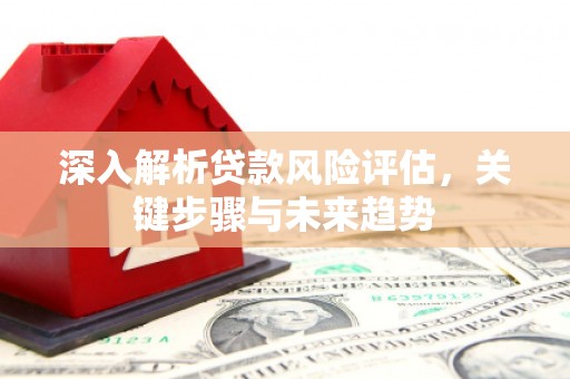 平南深入解析贷款风险评估，关键步骤与未来趋势