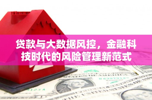 平南贷款与大数据风控，金融科技时代的风险管理新范式