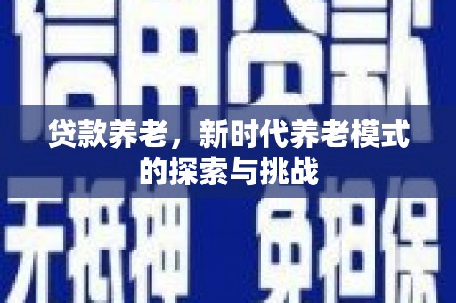 平南贷款养老，新时代养老模式的探索与挑战