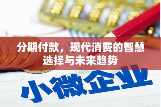 平南分期付款，现代消费的智慧选择与未来趋势