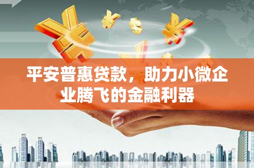 平南平安普惠贷款，助力小微企业腾飞的金融利器