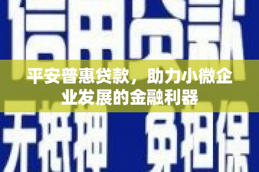 平南平安普惠贷款，助力小微企业发展的金融利器