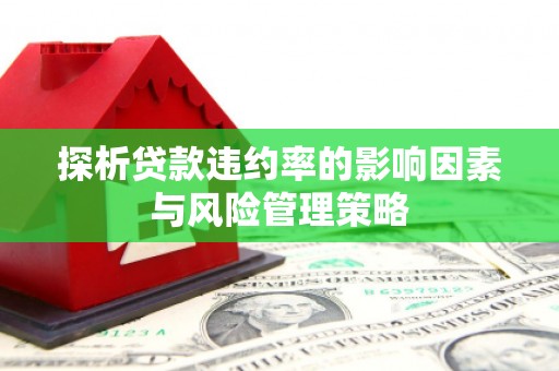 平南探析贷款违约率的影响因素与风险管理策略