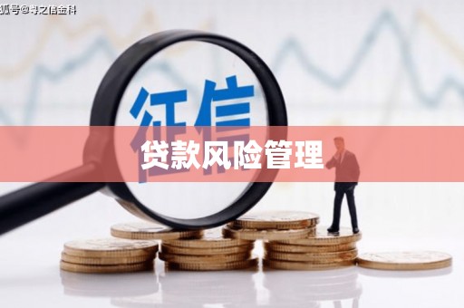 平南贷款风险管理