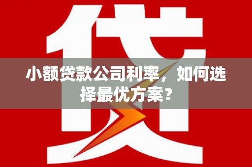 平南小额贷款公司利率，如何选择最优方案？