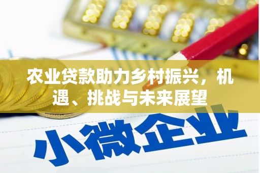 平南农业贷款助力乡村振兴，机遇、挑战与未来展望