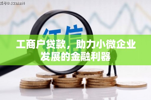平南工商户贷款，助力小微企业发展的金融利器