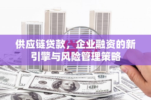 平南供应链贷款，企业融资的新引擎与风险管理策略