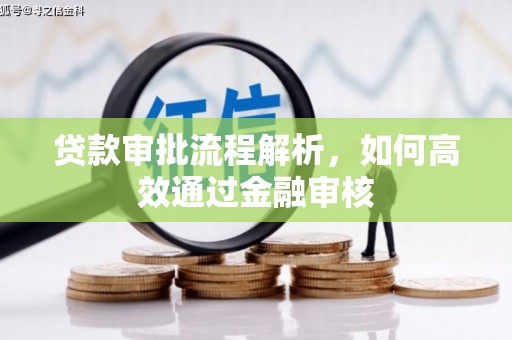 平南贷款审批流程解析，如何高效通过金融审核