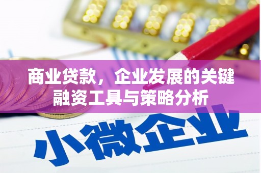 平南商业贷款，企业发展的关键融资工具与策略分析