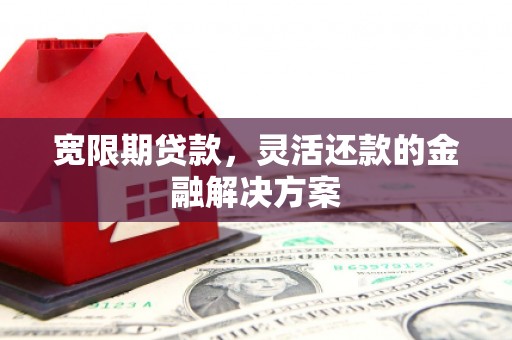 平南宽限期贷款，灵活还款的金融解决方案