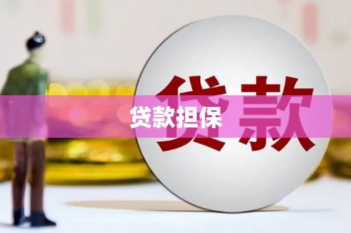 平南贷款担保