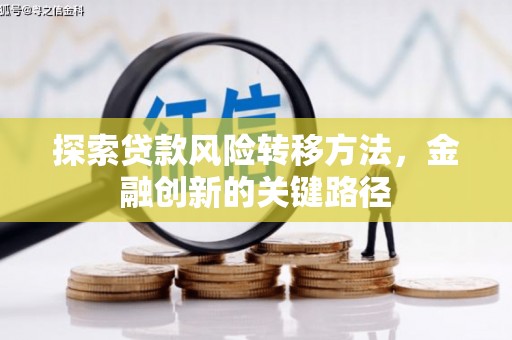 平南探索贷款风险转移方法，金融创新的关键路径