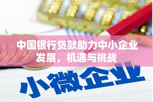平南中国银行贷款助力中小企业发展，机遇与挑战