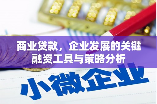 平南商业贷款，企业发展的关键融资工具与策略分析