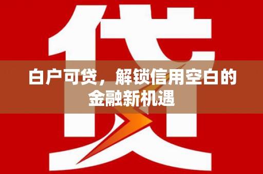 平南白户可贷，解锁信用空白的金融新机遇