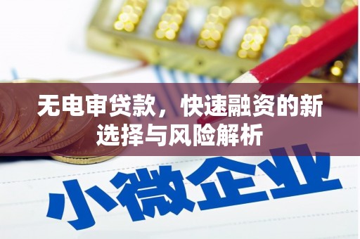 平南无电审贷款，快速融资的新选择与风险解析