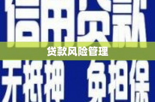 平南贷款风险管理