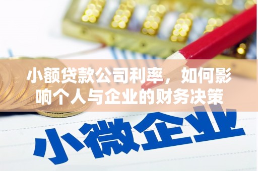 平南小额贷款公司利率，如何影响个人与企业的财务决策