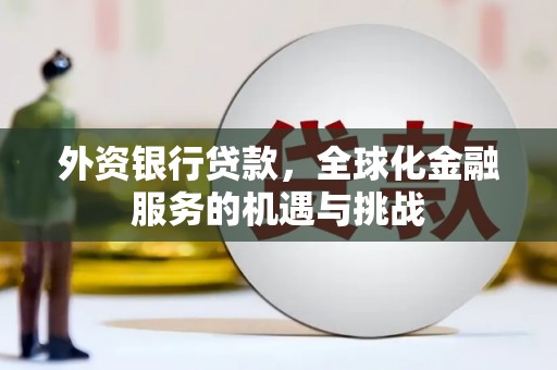平南外资银行贷款，全球化金融服务的机遇与挑战