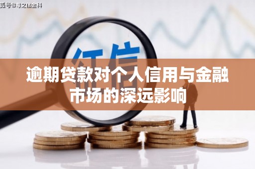 平南逾期贷款对个人信用与金融市场的深远影响