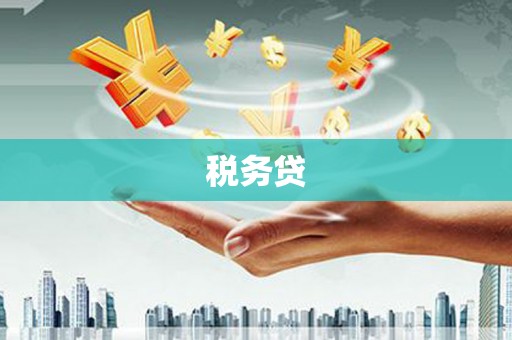 平南税务贷