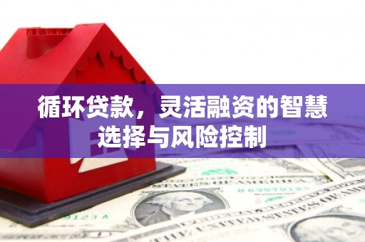 平南循环贷款，灵活融资的智慧选择与风险控制