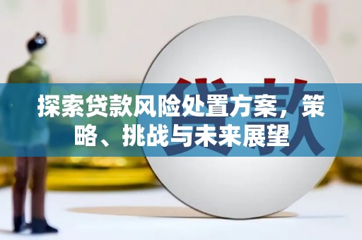 平南探索贷款风险处置方案，策略、挑战与未来展望