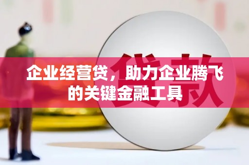 平南企业经营贷，助力企业腾飞的关键金融工具